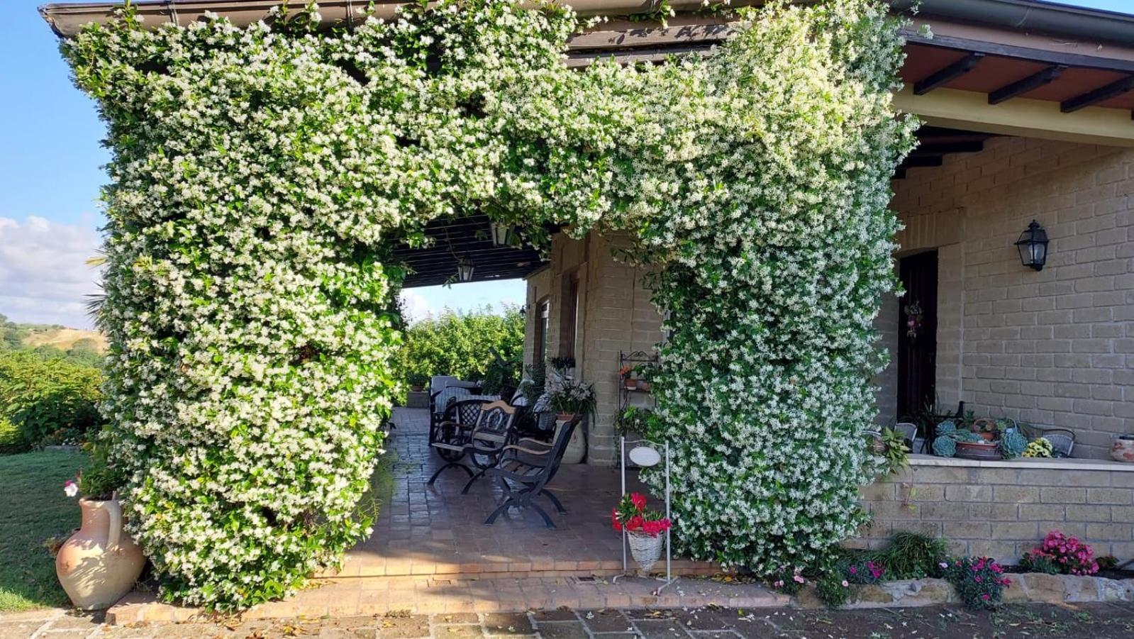 Il Casale Del Sogno Couette-café Ardea